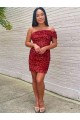 Velvet Sequin One Shoulder Sheath Burgundy Prom Dress Canada Factory